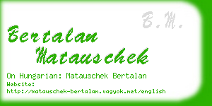 bertalan matauschek business card